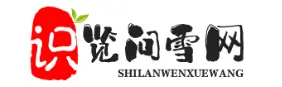 合肥识览问雪站